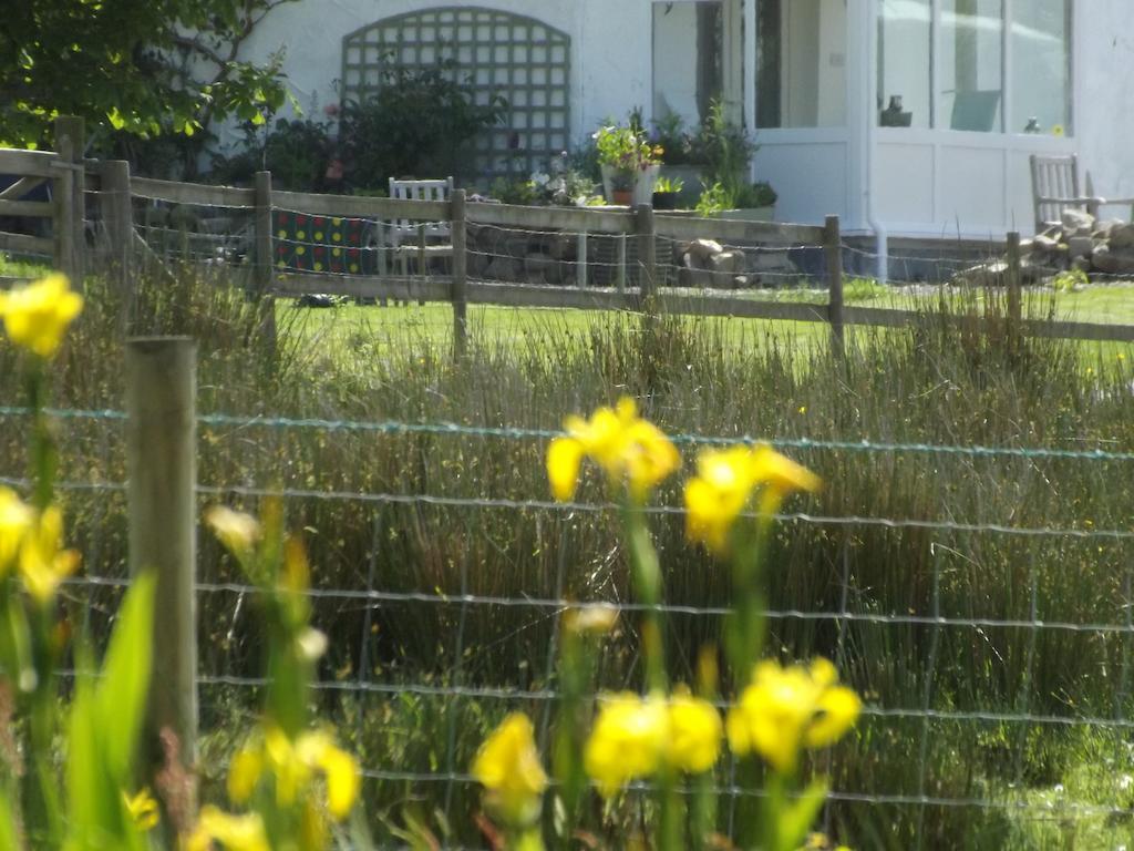 The Swallows Guest House New Quay  Room photo