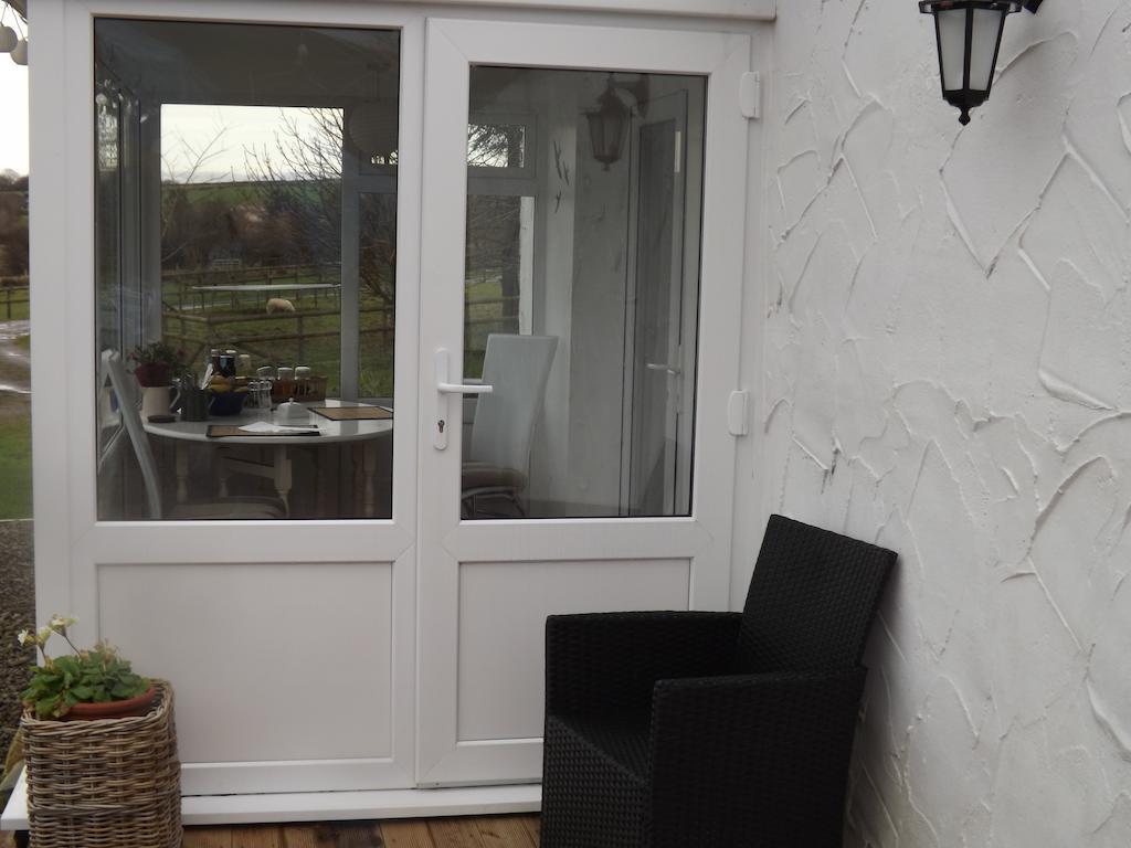 The Swallows Guest House New Quay  Room photo